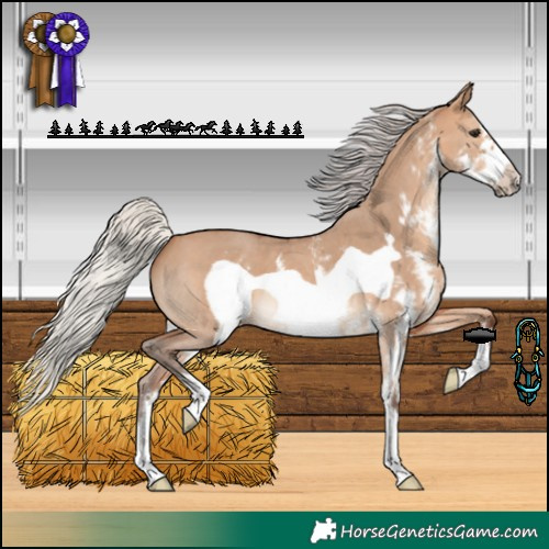 Horse Color:Silver Bay Dun Sabino Frame 