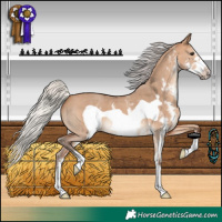 Horse Color:Silver Bay Dun Sabino Frame 
