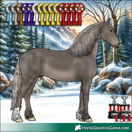Horse Color:Silver Black 