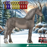 Horse Color:Silver Black 