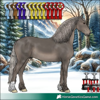 Horse Color:Silver Black 