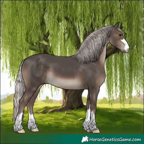 Horse Color:Silver Black 
