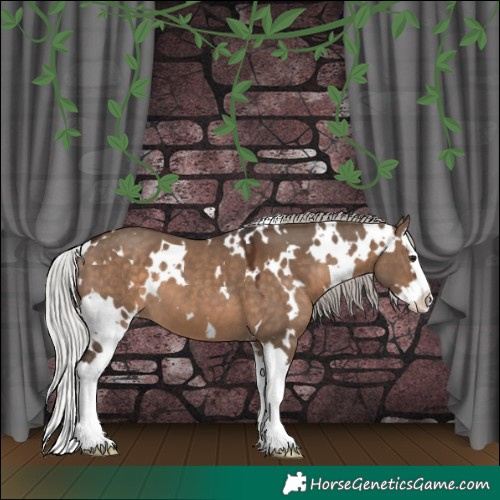 Horse Color:White Spotted Silver Brown Dun Splash 