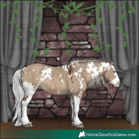 Horse Color:White Spotted Silver Brown Dun Splash 