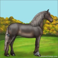 Horse Color:Silver Black 