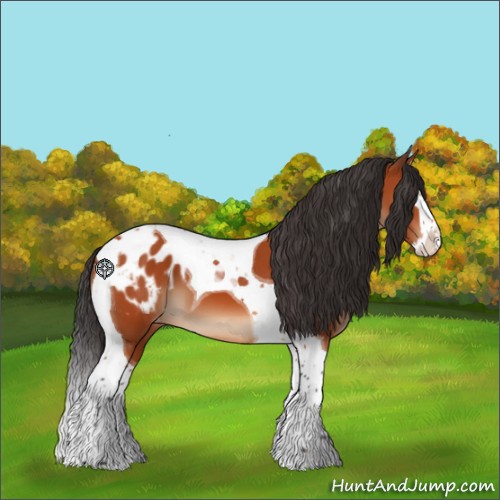 Horse Color:Bay Splash Tobiano Appaloosa 