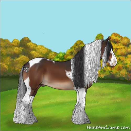 Horse Color:Bay Splash Tobiano 