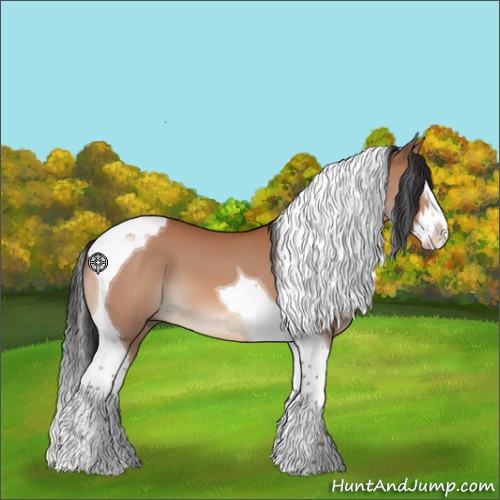 Horse Color:Bay Splash Tobiano 