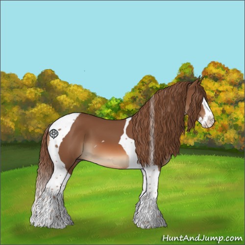 Horse Color:Chestnut Splash Tobiano 