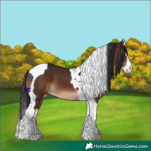 Horse Color:Brown Splash Tobiano 