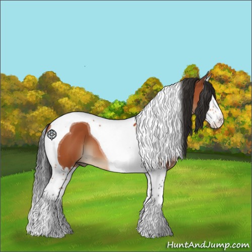 Horse Color:Bay Splash Tobiano 