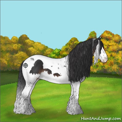 Horse Color:Brown Splash Tobiano 