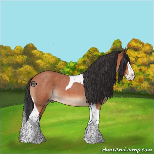 Horse Color:Bay Roan Splash Tobiano 