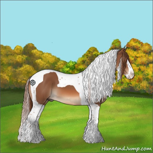 Horse Color:Chestnut Splash Tobiano 