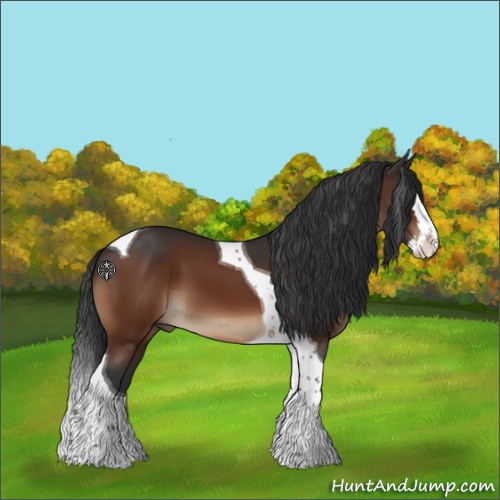 Horse Color:Brown Splash Tobiano 