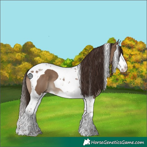 Horse Color:Liver Red Dun Splash Tobiano 