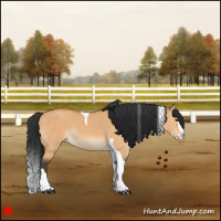 Horse Color:Bay Dun Splash Tobiano 