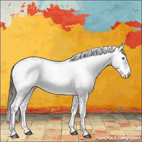 Horse Color:Liver Chestnut Frame