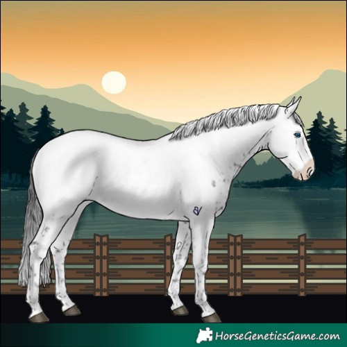 Horse Color:Black Frame 