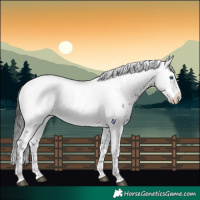 Horse Color:Black Frame 