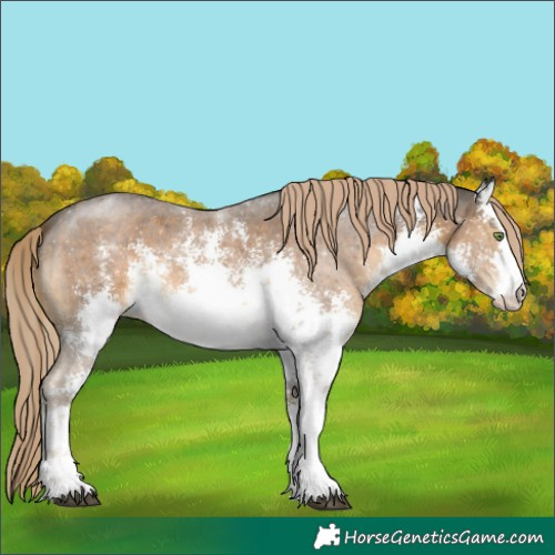 Horse Color:White Spotted Chocolate Palomino Sabino 