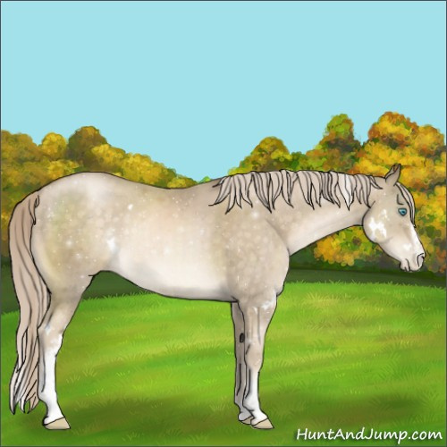 Horse Color:White Spotted Chocolate Palomino Pearl 