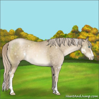 Horse Color:White Spotted Chocolate Palomino Pearl 