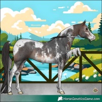 Horse Color:Brown Sabino Tobiano Rabicano
