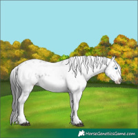 Horse Color:Black Frame 