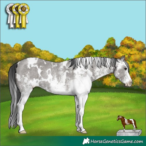 Horse Color:White Spotted Grullo Rabicano 