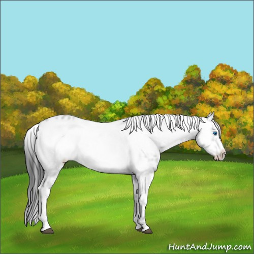 Horse Color:Black Frame