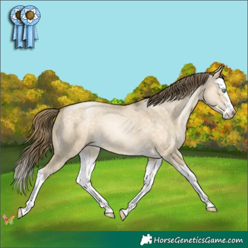 Horse Color:Buckskin Pearl Dun Splash 