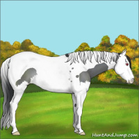 Horse Color:Brown Chinchilla Mushroom Splash Tobiano 