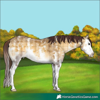 Horse Color:Plaid Chocolate Buckskin Onyx Sabino Splash