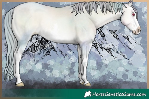 Horse Color:Watercolor White Spotted Chocolate Buckskin Chinchilla Pearl Onyx 