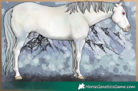 Horse Color:Watercolor White Spotted Chocolate Buckskin Chinchilla Pearl Onyx 