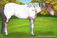 Horse Color:Liver Chestnut Tobiano Snowcap 