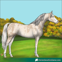 Horse Color:White Spotted Cremello Splash  and Cremello Splash 