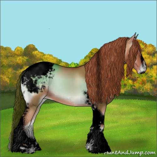 Horse Color:Void Gold Champagne Onyx Sabino Tobiano Appaloosa 