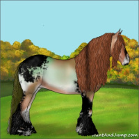 Horse Color:Void Gold Champagne Onyx Sabino Tobiano Snowcap 