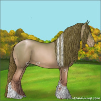 Horse Color:Smoky Black Pearl Tobiano Appaloosa