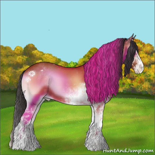Horse Color:Bay Onyx Sabino Varnish