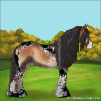 Horse Color:Liver Red Onyx Sabino Tobiano Appaloosa Rabicano
