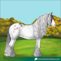 Horse Color:Plaid  White Spotted Brown Ice Onyx Splash Tobiano Appaloosa 