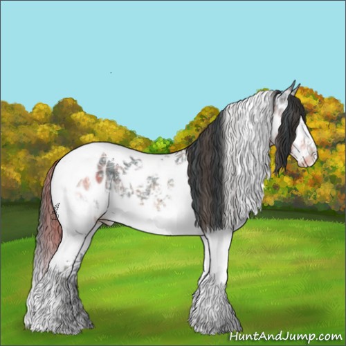 Horse Color:Plaid  White Spotted Brown Ice Splash Tobiano Appaloosa 
