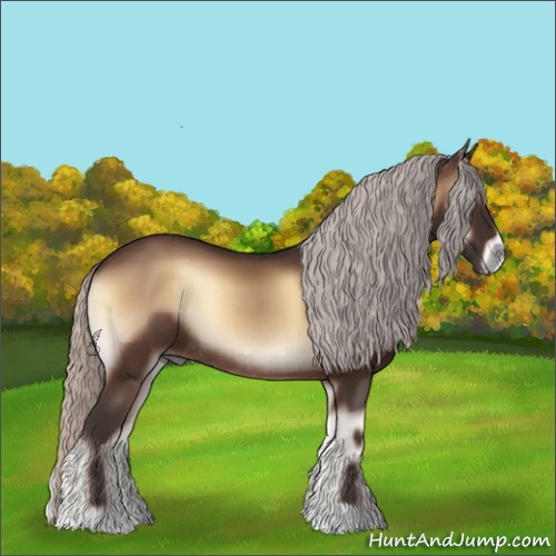 Horse Color:Silver Brown Onyx Rabicano 