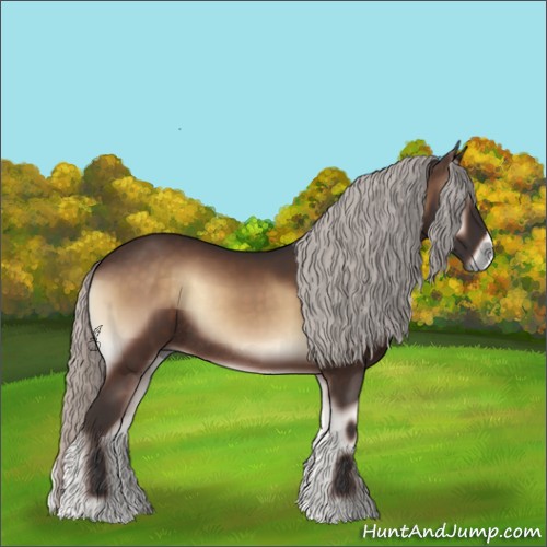 Horse Color:Silver Brown Onyx Rabicano