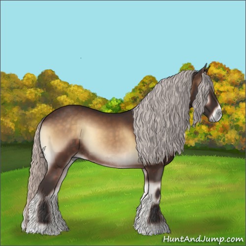 Horse Color:Silver Brown Onyx Rabicano 