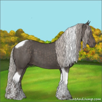 Horse Color:Silver Black Sabino Tobiano 