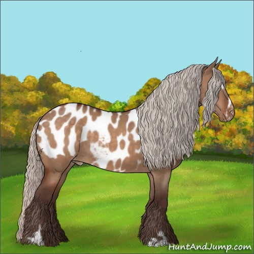 Horse Color:Silver Brown Dun Sabino Appaloosa 